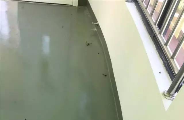死尸遍地！寧波一幼兒園裝修后現場觸目驚心！