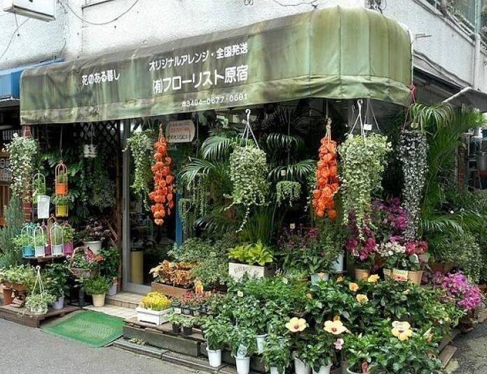 90后美女在閣樓開店鋪！房間太破，奇思妙想用各種植物來掩蓋