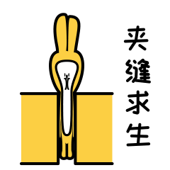 鞋柜設計，看這一篇就夠了